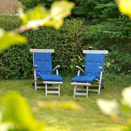Der Charlottenhof Ahrenshoop Exteriör bild