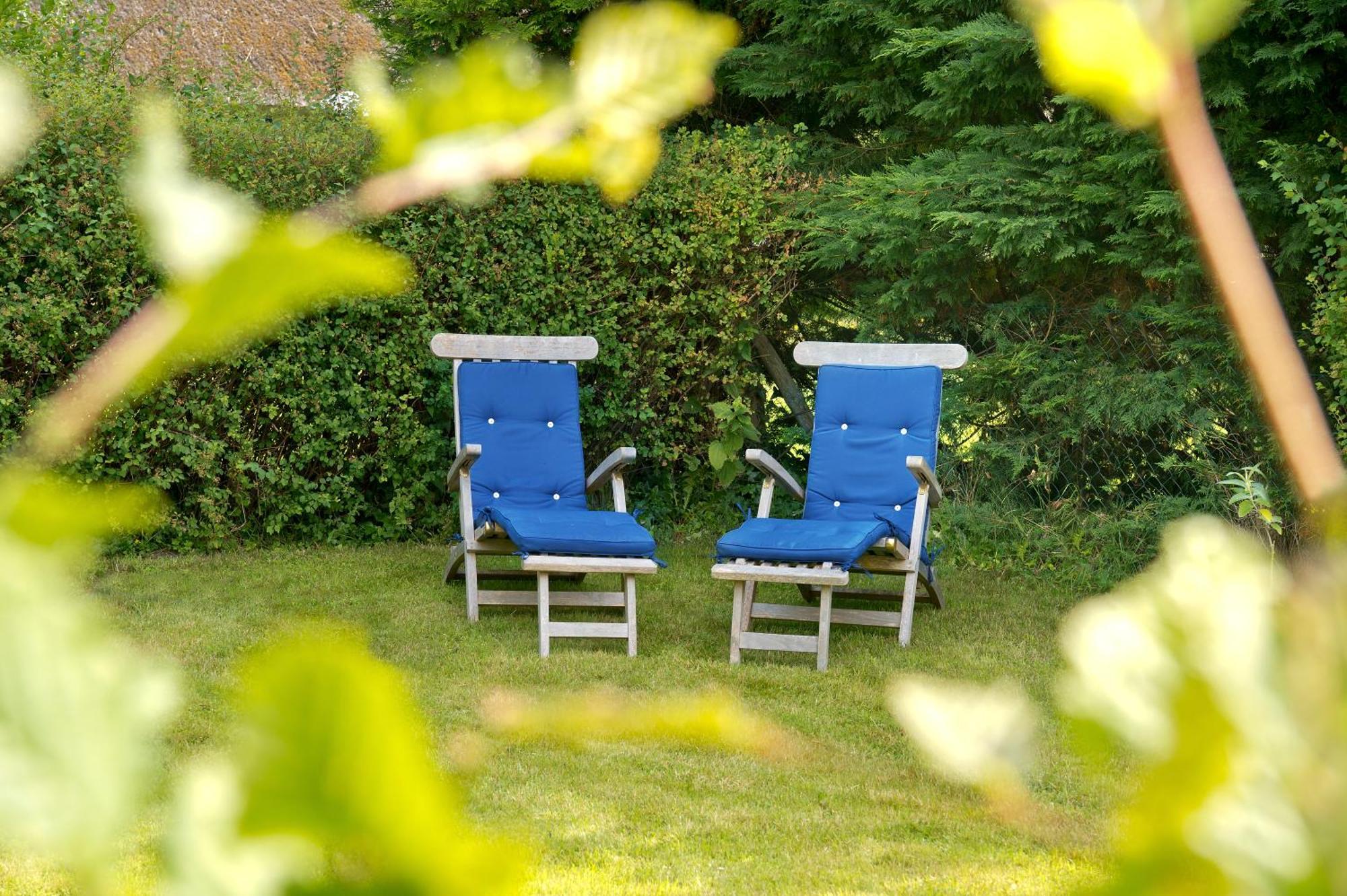 Der Charlottenhof Ahrenshoop Exteriör bild